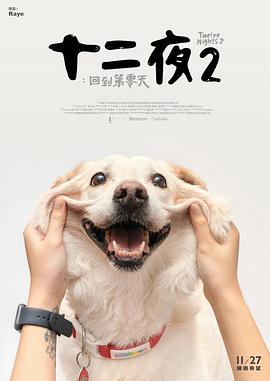 十二夜2：回到第零天海报剧照