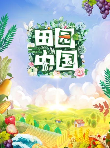 田园中国海报剧照