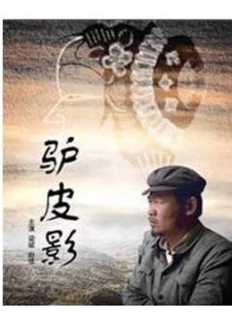 驴皮影海报剧照