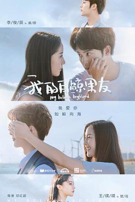我的白鲸男友第一季海报剧照