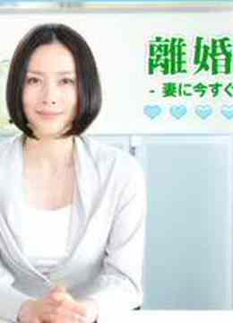 离婚症候群海报剧照