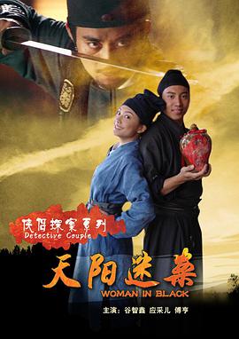 侠侣探案系列之天阳迷案海报剧照
