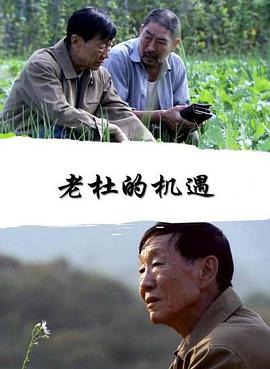 老杜的机遇海报剧照