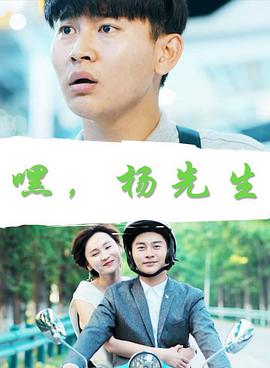 嘿，杨先生海报剧照