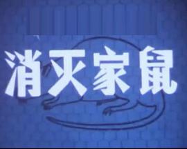 消灭家鼠海报剧照