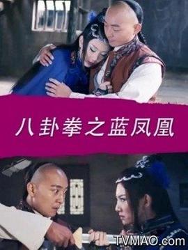 八卦拳之蓝凤凰海报剧照