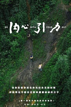 内心引力海报剧照