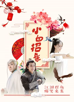 小白招亲海报剧照