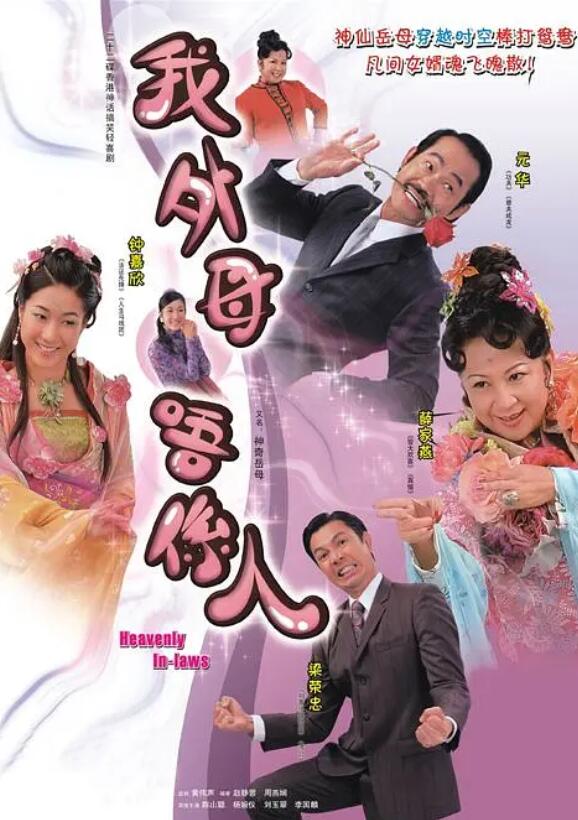 非常岳母粤语海报剧照