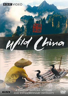 美丽中国海报剧照