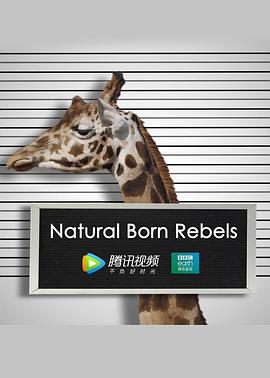 你这个坏怂海报剧照