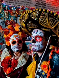 野性墨西哥WildMexico海报剧照