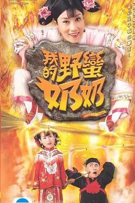 我的野蛮奶奶国语海报剧照
