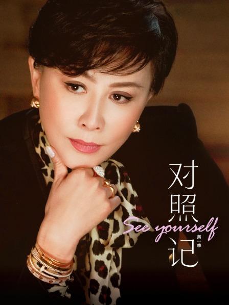 对照记海报剧照
