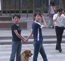 蜘蛛人与神犬海报剧照