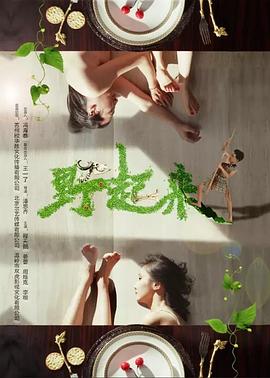 野起来海报剧照