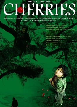 樱桃2008海报剧照