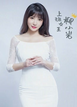 上班女王柳小岩海报剧照