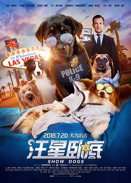 汪星卧底海报剧照