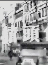 白头情侣海报剧照