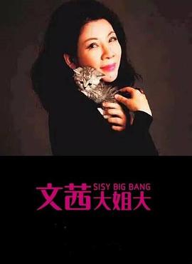 文茜大姐大海报剧照