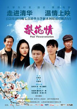 梨花情海报剧照