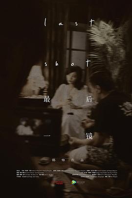 最后一镜海报剧照