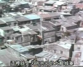 白粉双雄海报剧照