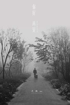 你好海报剧照