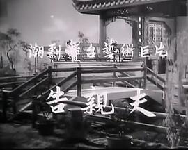 告亲夫海报剧照