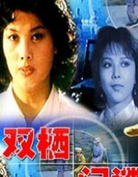 双栖间谍海报剧照