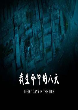 我生命中的八天海报剧照