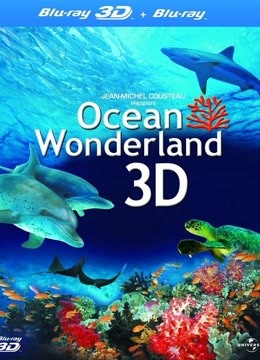 神奇的海洋海报剧照