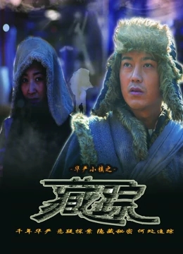 华严小镇2之藏踪海报剧照