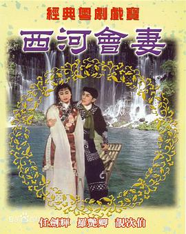西河会妻海报剧照