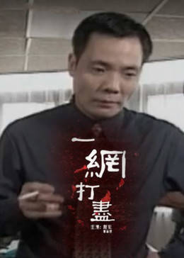 一网打尽海报剧照