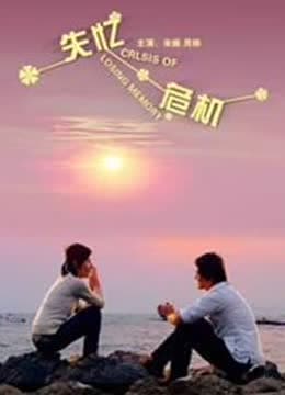 失忆危机海报剧照