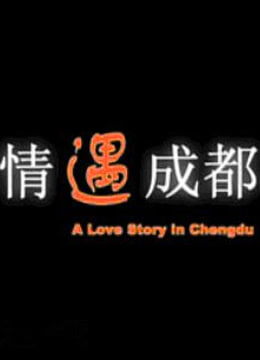 情遇成都海报剧照