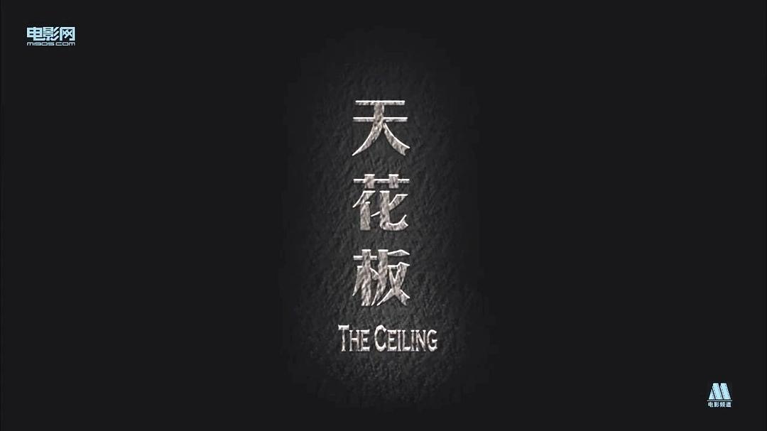 天花板海报剧照