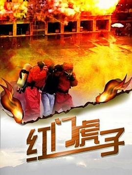 红门虎子海报剧照