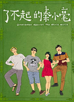 了不起的秦小毫海报剧照