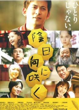 背阴盛放海报剧照