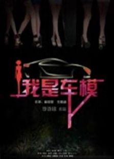 我是车模海报剧照