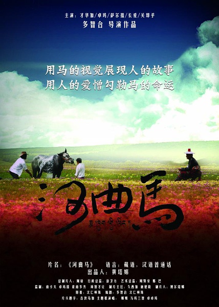 蝙蝠侠：侠影之谜海报剧照