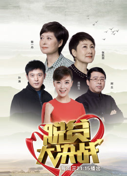 脱贫大决战海报剧照