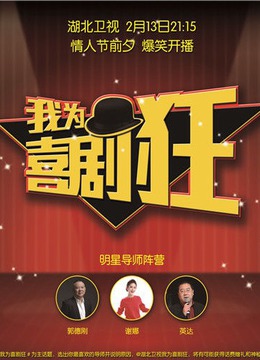 我为喜剧狂海报剧照