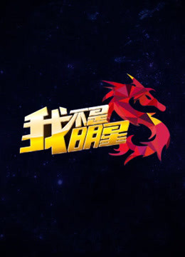 我不是明星第三季海报剧照