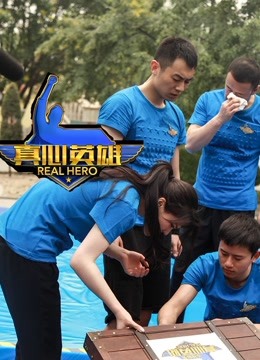 真心英雄之英雄前传海报剧照