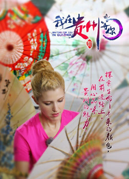 我在贵州等你海报剧照