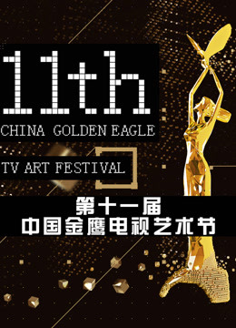 第十一届中国金鹰电视艺术节海报剧照